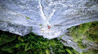 rostrum-crux-danie